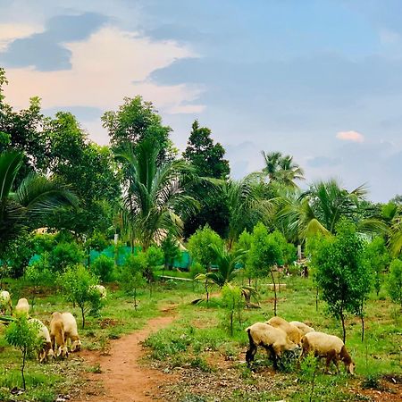 Eco Farm Bangalore Exterior foto