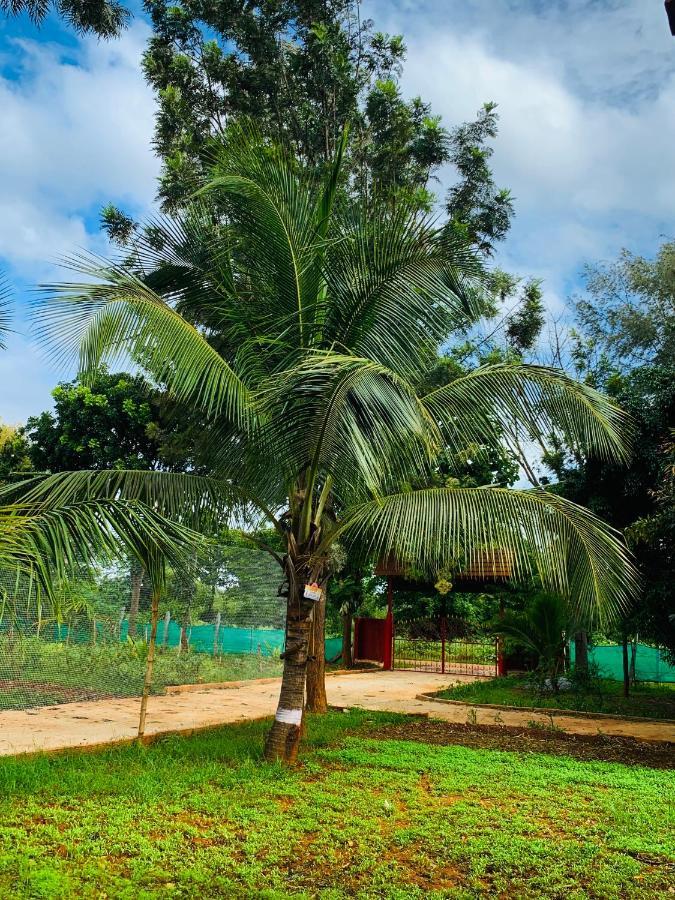 Eco Farm Bangalore Exterior foto