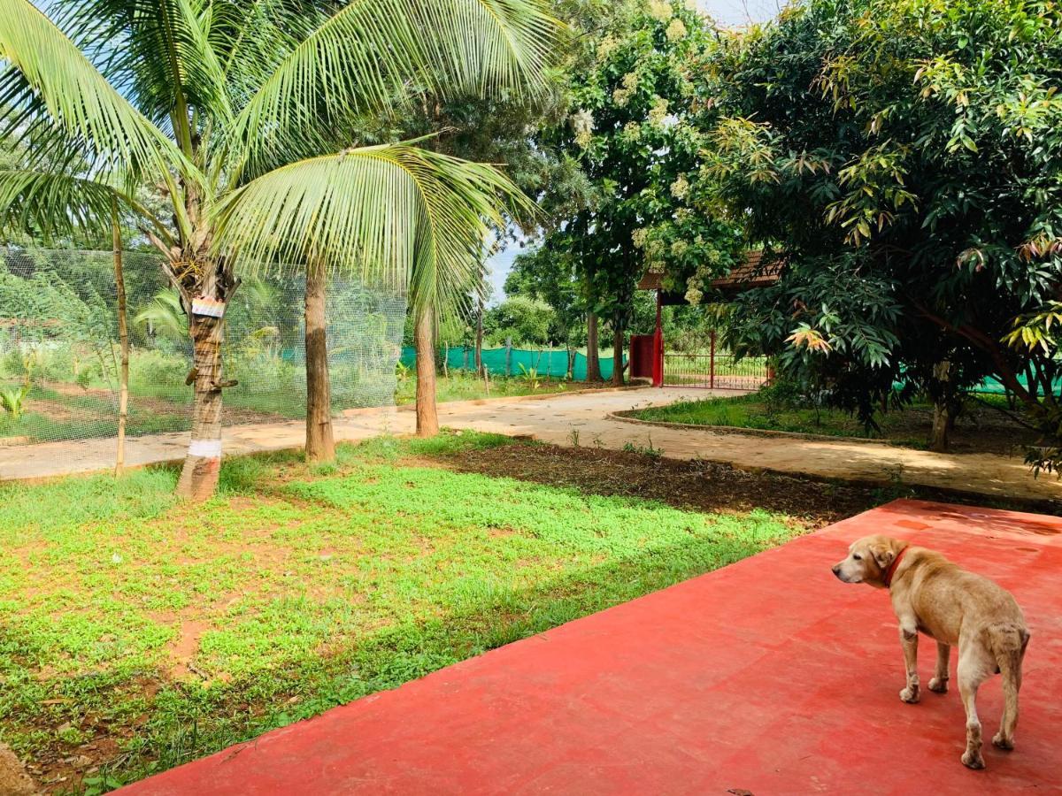 Eco Farm Bangalore Exterior foto