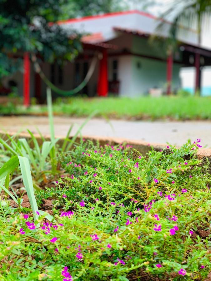 Eco Farm Bangalore Exterior foto
